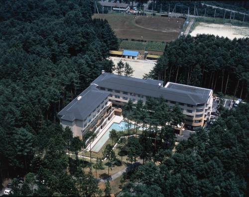 Evergreen Fuji
