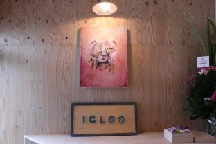 Igloo Dorm & Breakfast