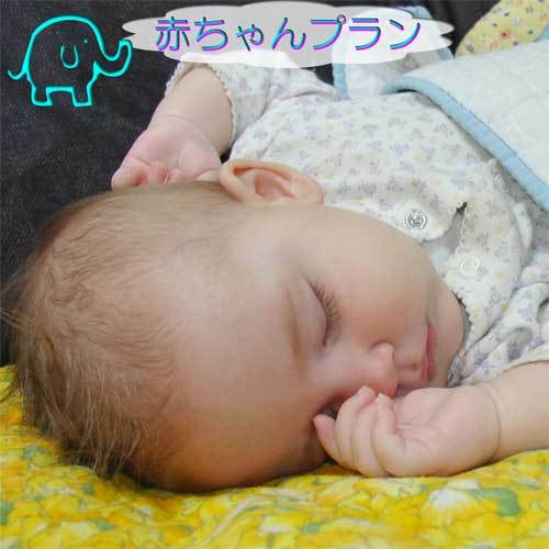 Restaurant & Ryokan Koshiso