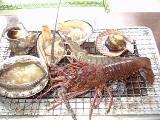 Momotori Matsuya