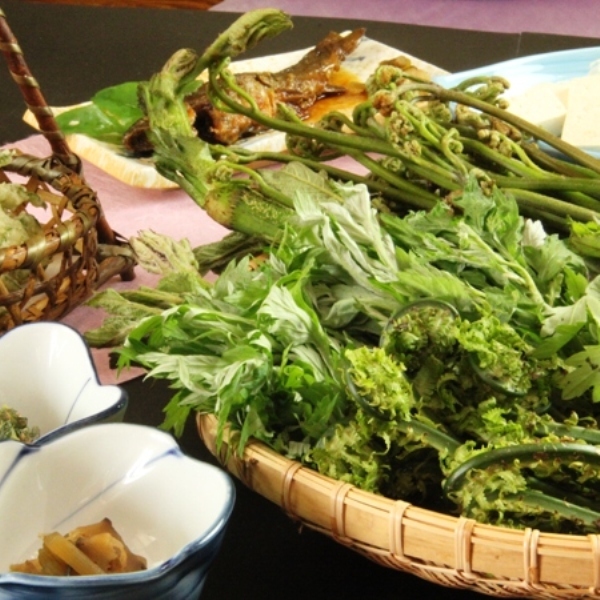 Onsen No Yado Iwamasanso