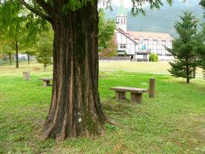 Hotel Monte Rosa