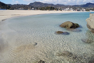 Turtle House