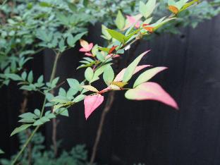 Guest House Higashiyama Megumi-an