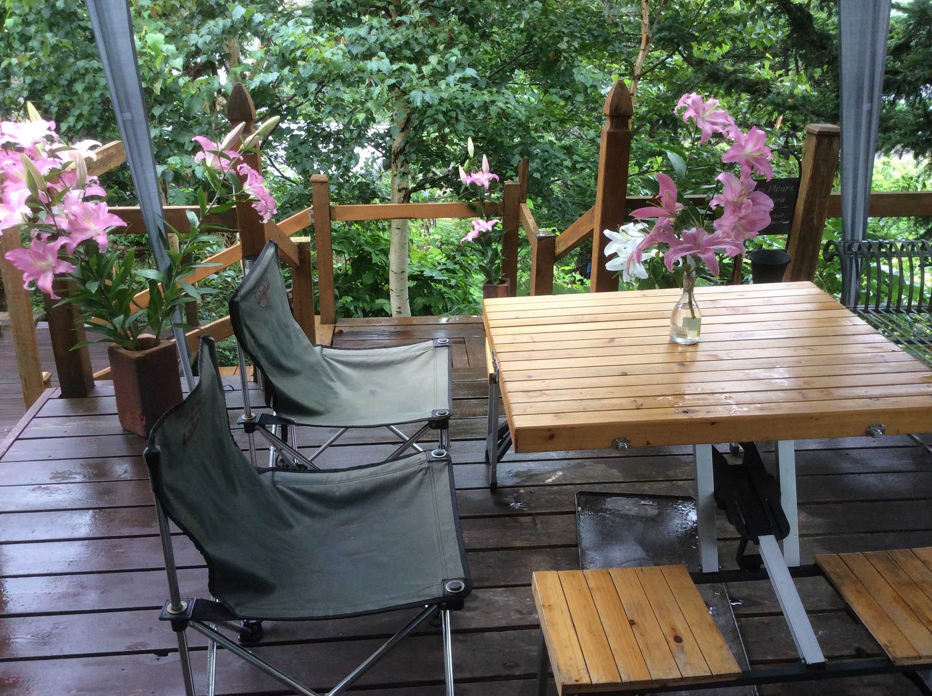 MiMiy Guest House