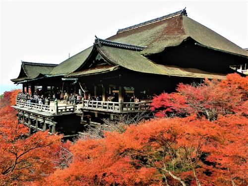 8 Inn Shijo Karasuma