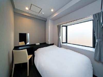 The Hotel Shinbashi