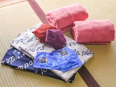 Tennyo-no-Yakata Hagoromo Hotel