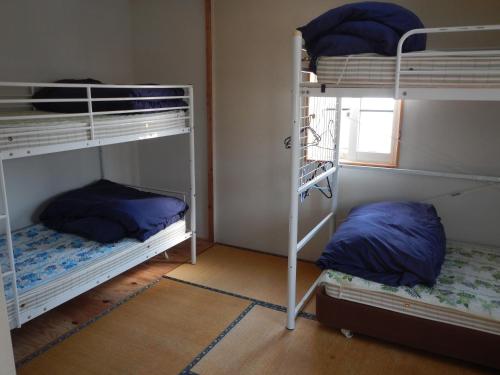Mt Hakuba Backpackers Hostel