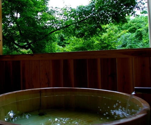 Oigami Onsen Ryokan Senkyo