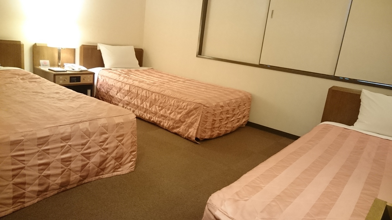 Hotel Liondor