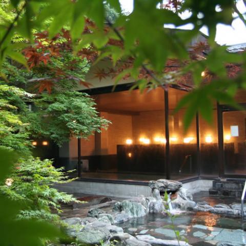 Hotel Tokugawa