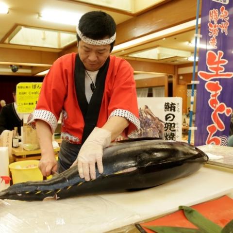 Nanki Katsuura Onsen Hotel Urashima