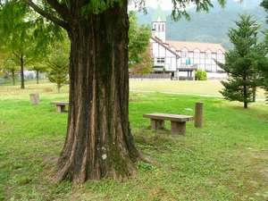 Hotel Monte Rosa