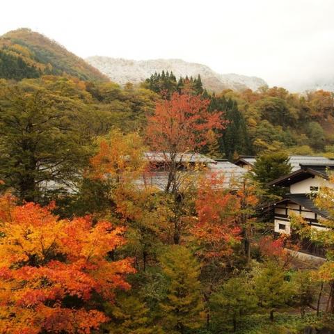 Yamasato no Iori Soen
