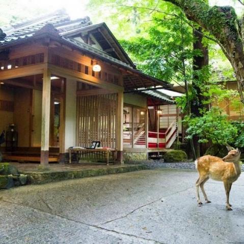 Nara Tsukihitei Ryokan